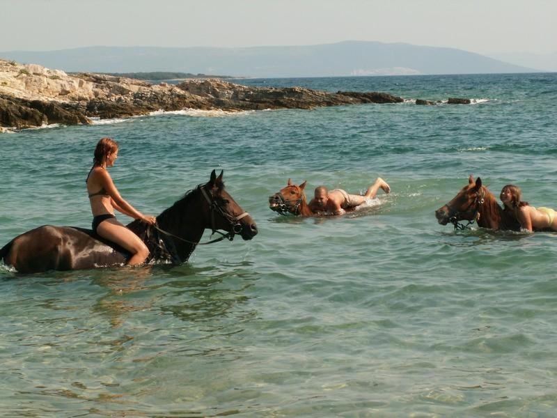 Beach House Ive With Jacuzzi, Pool, Playground And Bbq In An Olive Grove With A Beach, Pomer - Istria Ngoại thất bức ảnh